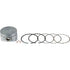Briggs und Stratton Kolben – Nr. 791791 Briggs und Stratton