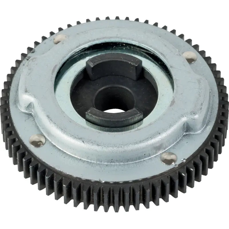 Briggs und Stratton Antriebszahnkranz – Nr. 795100 Briggs und Stratton