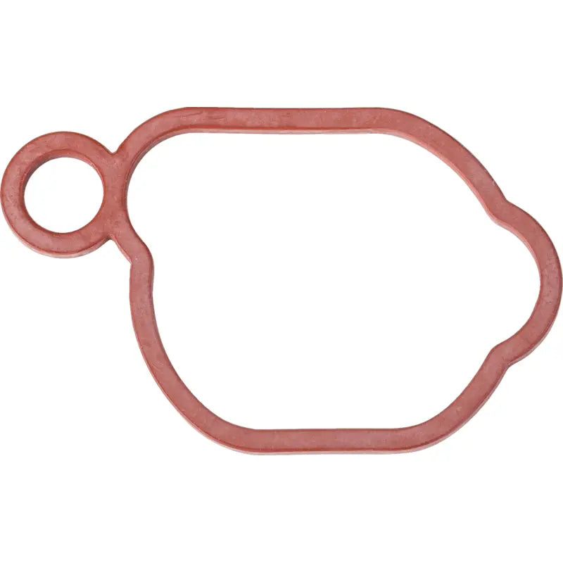 Luftfilterdichtung Briggs und Stratton 82799580, Original-Ersatzteil Nr. 799580