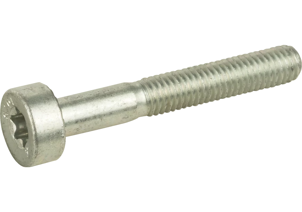 Torxschraube für Kettenbremshebel Stihl Stihl