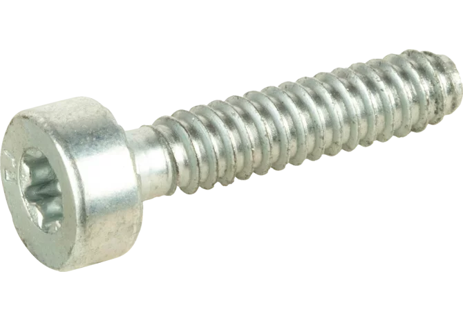 Stihl Torxschraube Torx T27 M5 Länge 24 mm Feingewinde 90754784159 Stihl