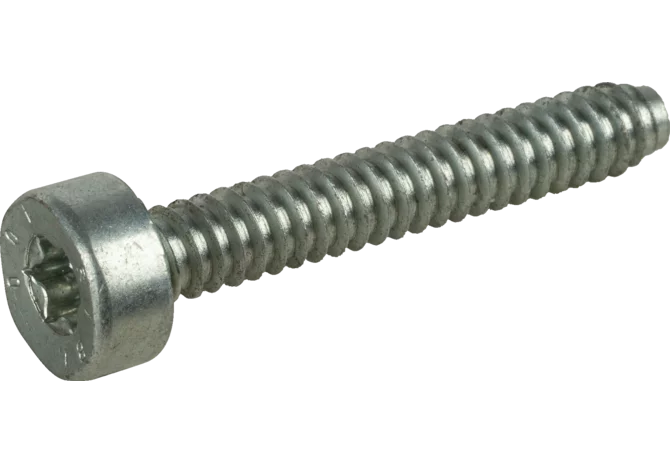 Stihl Torxschraube Torx T27 selbstschneidend 90754784167 Stihl