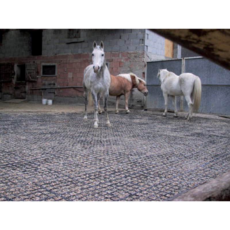 EcoRaster S53 Swing Rasengitter 33 cm – Anwendung an Wasserzugängen
