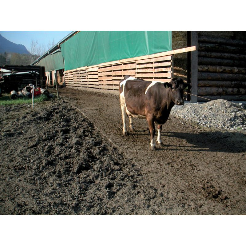 EcoRaster E44 Pleasure – Ecoraster E44 Pleasure Geeignet für Parkplätze GartenShop24 - Hochwertige Gartengeräte