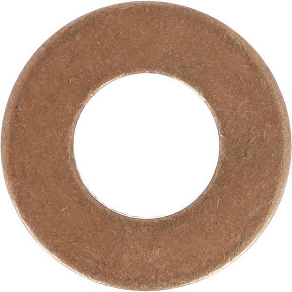 Agco Injektor-Dichtring