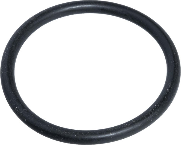 Agco O-Ring