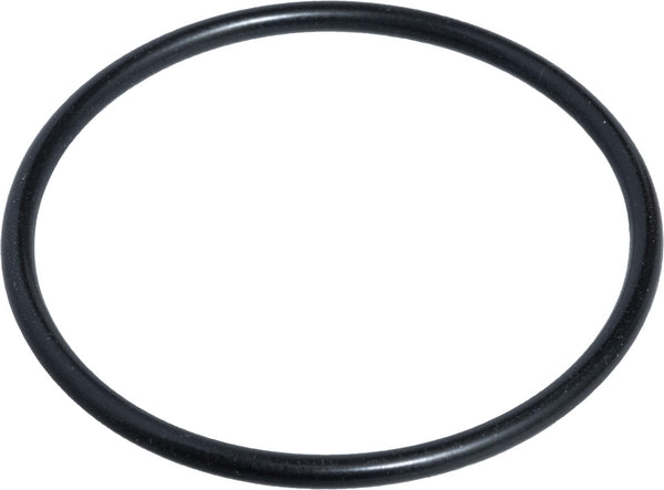Agco O-Ring