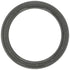 Agco Wellendichtring