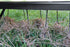 Agri-Fab Vertikutierharke Anhänger 100cm 45-0294