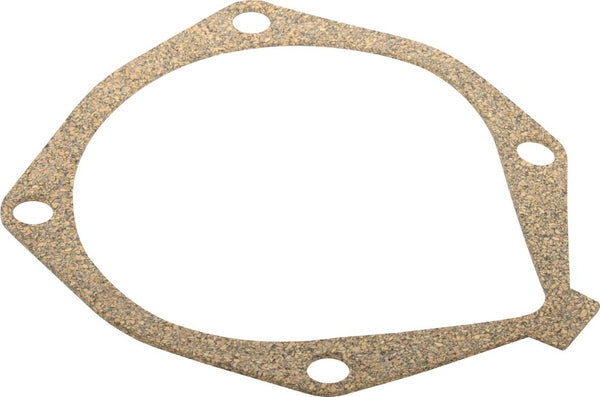Briggs & Stratton Antriebsdichtung V21 7011774YP