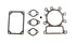 Briggs & Stratton Dichtungssatz 495992