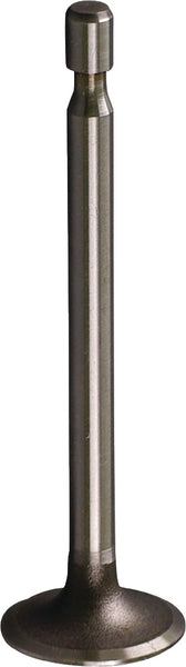 Briggs & Stratton Einlassventil 261055S