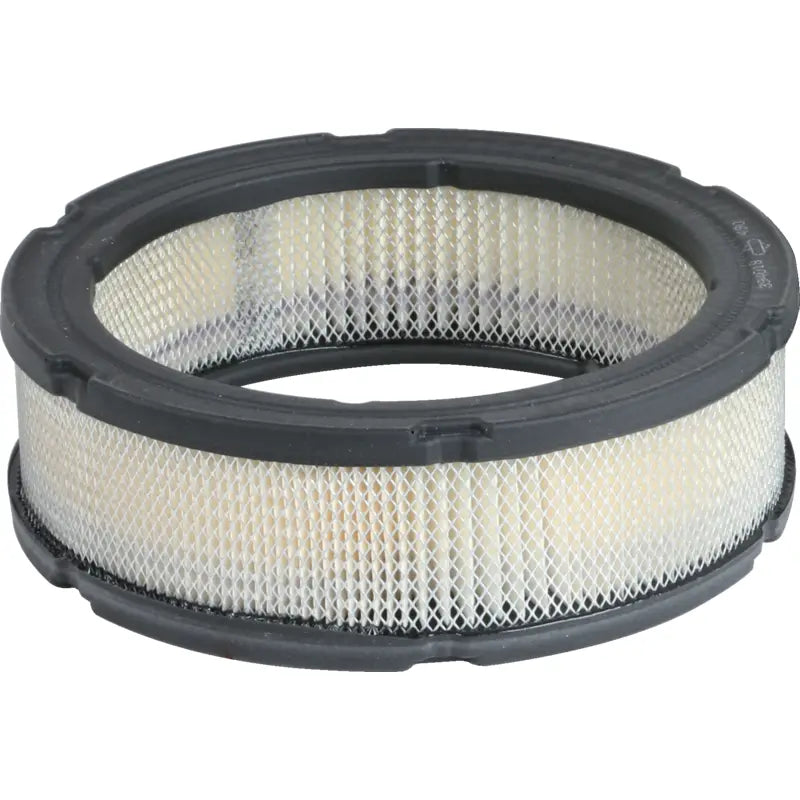 Luftfilter Briggs & Stratton 394018S – Original Ersatzteil für Rasenmäher