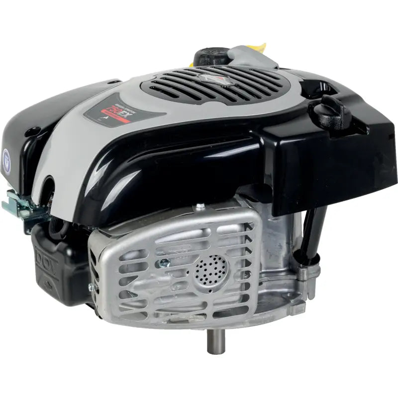 Motor 750 EX DOV 1006020177H8YY7001 von Briggs & Stratton, 160 ccm OHV-Motor