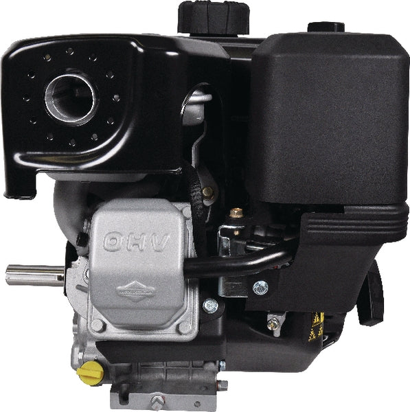 Briggs & Stratton, Motor, Horizontal, kurbelwellenLänge 93mm, kurbelwellendurchmesser 25.4mm, 8.9PS 19L237-0319-F1