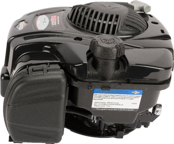 Briggs & Stratton, Motor, Vertikal, kurbelwellenLänge 80mm, kurbelwellendurchmesser 22.2mm, 4.4PS 093J02-0112-H5