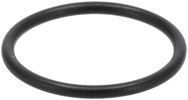 Briggs & Stratton O-Ring-Dichtung 809894