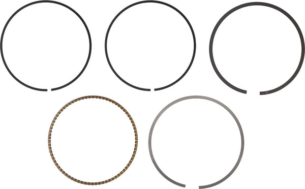 Briggs & Stratton Ringsatz 592957