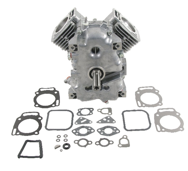 Briggs & Stratton Rumpfmotor Modell 30 vertik. 494057