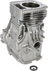 Briggs & Stratton Zylindersatz 591465