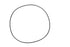 Carraro O-Ring 253.59x3.53mm