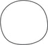 Carraro O-Ring