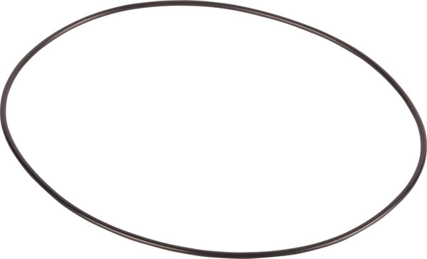 Carraro O-Ring