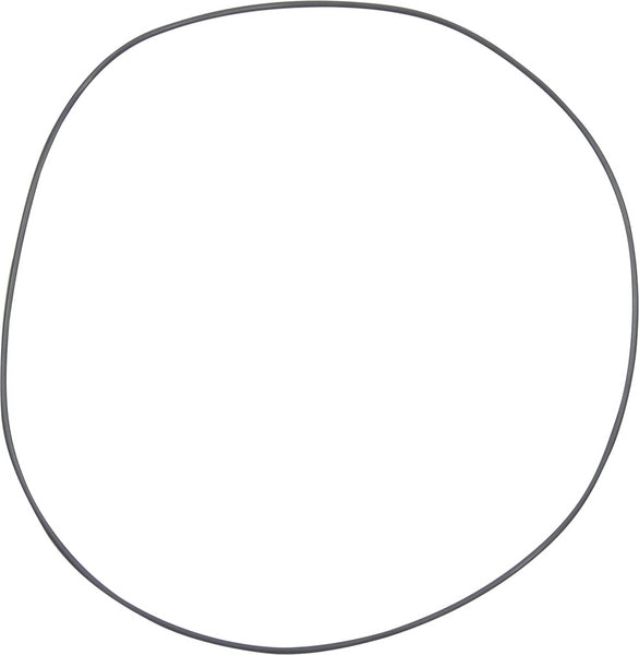 Carraro O-Ring