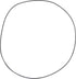 Carraro O-Ring