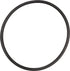 Carraro O-Ring