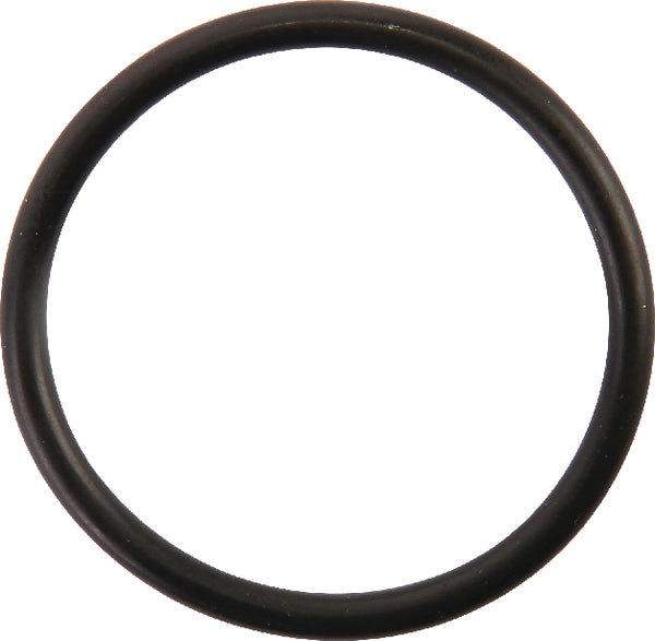 Carraro O-Ring