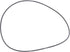Carraro O-Ring