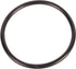 Carraro O-Ring