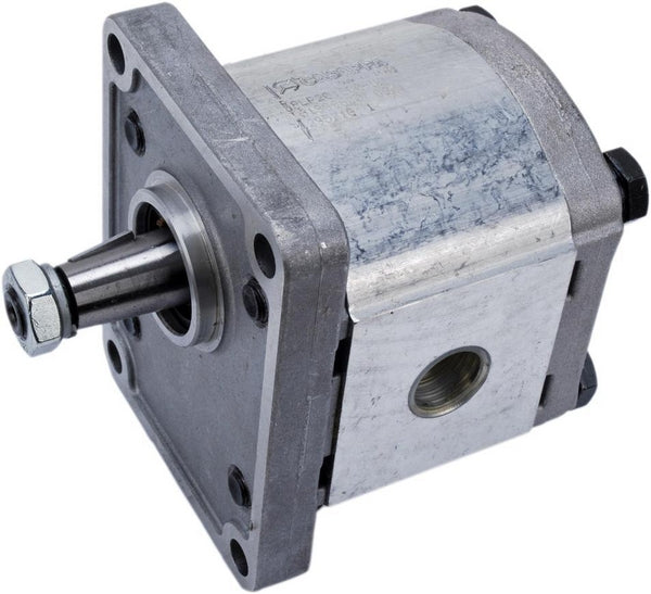 Casappa Pump PLP20.8 D0-82E2-LGD/GD-N