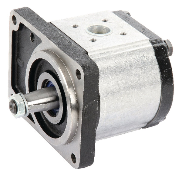 Casappa Pumpe PLP30.38D0-56B3-LBM/BL-N