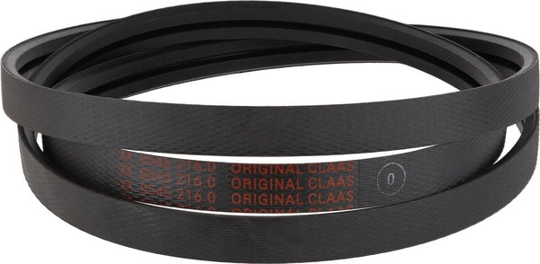 Claas Riemen