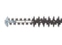 Benzin-Heckenschere Anova CG2360 84368090 – 55 cm Schnittlänge im Einsatz an einer Hecke