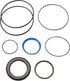 Danfoss Dichtungssatz 151B0113, OMT