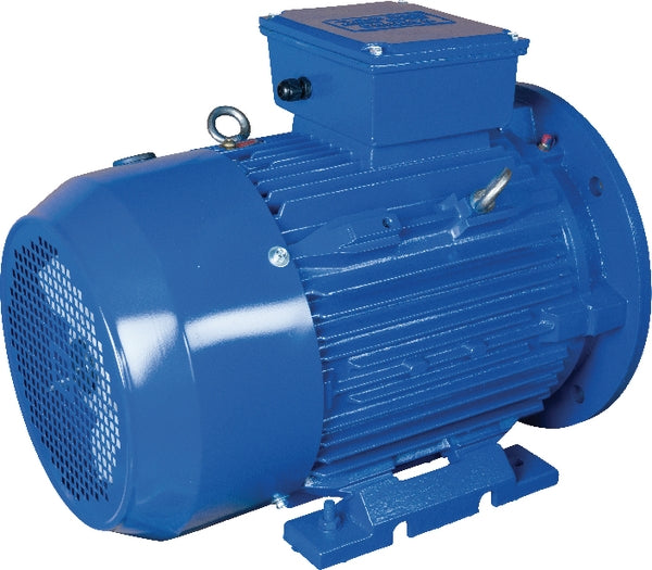 Elektromotor 11 kW