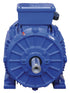 Elektromotor 18,5 kW
