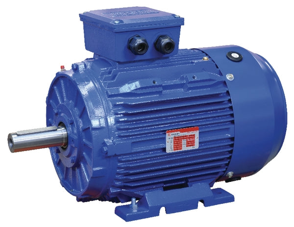 Elektromotor 18,5 kW