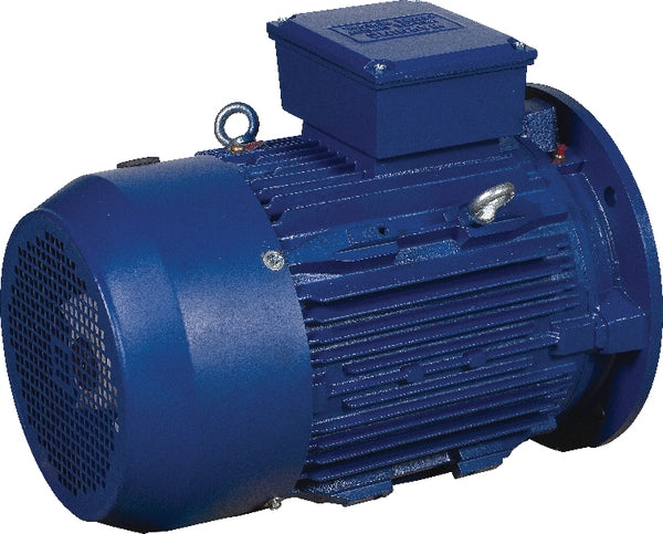 Elektromotor 3 kW