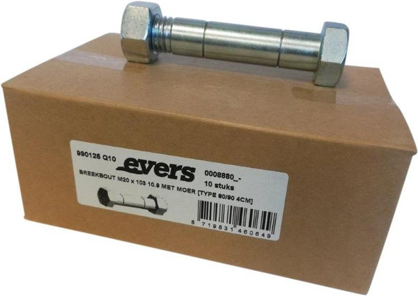 Evers Scherschraube mit Mutter (10x), M20x103, 10.9, TYP 4 cm, Zinken