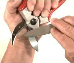 Felco Schleifapparat