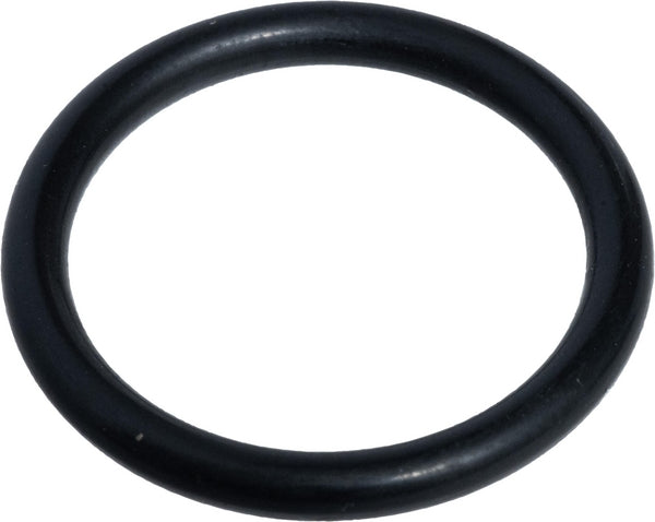 Fendt (AGCO) O-Ring