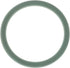 Fendt (AGCO) Turboladerdichtung