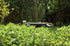 Gardena Viereckregner AquaZoom M