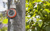 Gardena Wassertimer