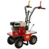 GL L300 Rasensodenschneider mit Honda GX160 Motor und 30 cm Schnittbreite