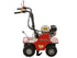 Benassi GL L390 Rasensodenschneider mit Honda GX200 – 39 cm Schnittbreite Benassi